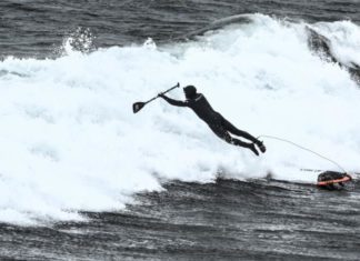 Краски адреналина: живопись как выражение динамики спорта
